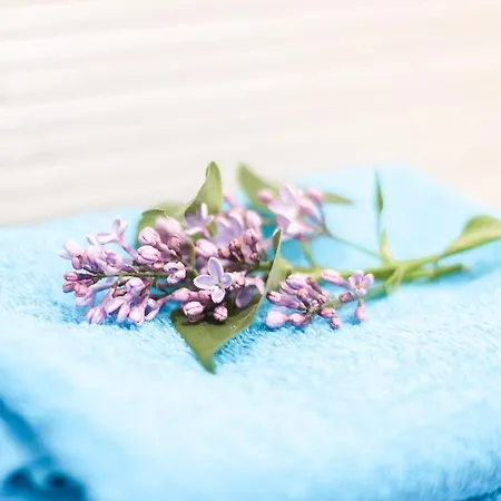 Olenka I - Mazury Szczytno (Warmian-Masurian)