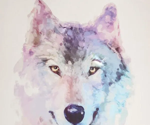 Olenka I - Mazury * Szczytno (Warmian-Masurian)