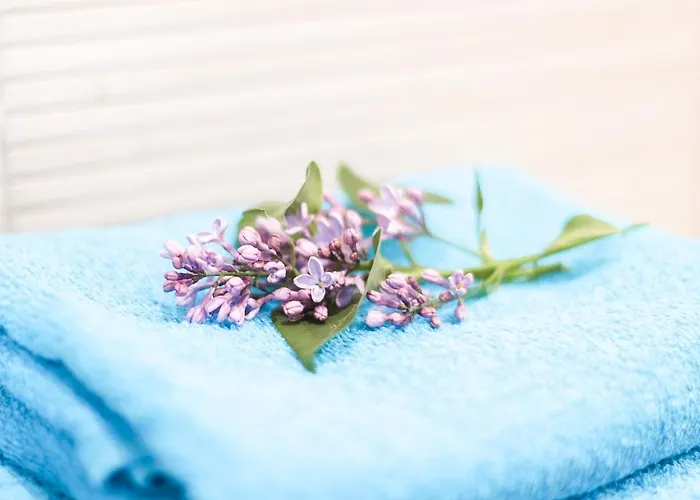 Olenka I - Mazury Szczytno (Warmian-Masurian)